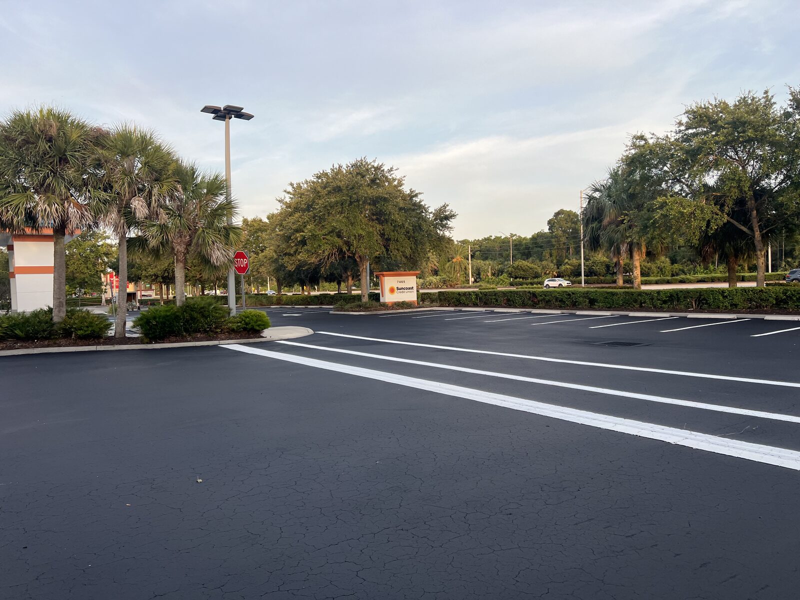 Line Striping project in Cape Coral, FL — Fresh parking lot striping with white stalls and crosswalk markings